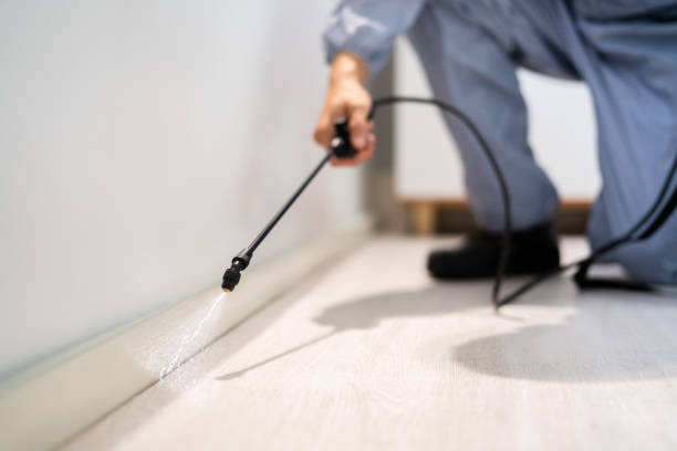 Licensed Pest Control service in Lewisburg, TN - Show Me Pest Control
