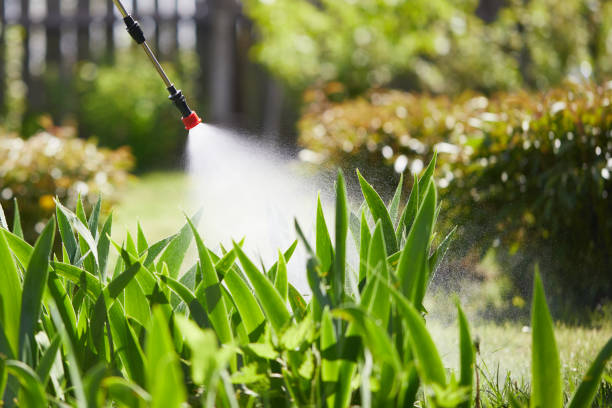 Tamper-Resistant Bait Stations for Rodents in Lewisburg