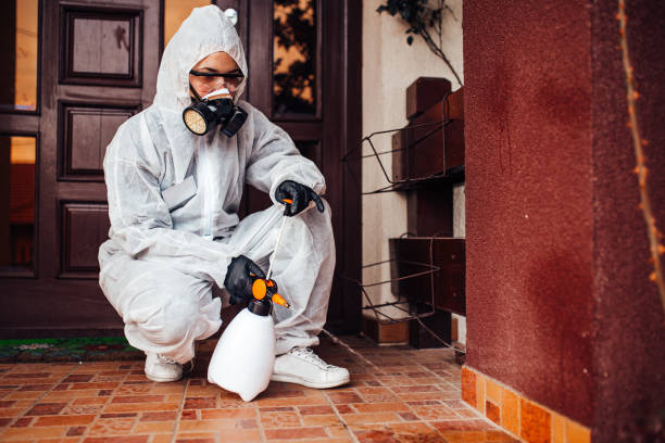 Attic and Crawl Space Rodent Treatment in Lewisburg