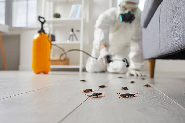 Commercial Rodent Management in Lewisburg